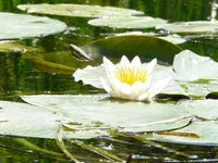 P1080207_hf.webp