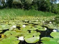 P1080217_hf.webp
