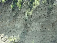P1080283_hf.jpg