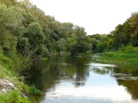 P1080294_hf.jpg