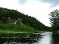 P1080415_hf.jpg