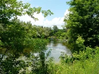 P1080418_hf.jpg