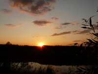 P1080459_hf.webp