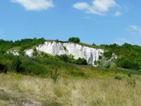 P1080480_hf.webp