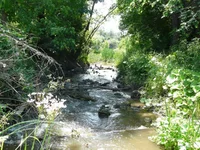 P1080484_hf.jpg
