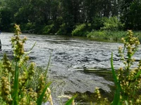 P1080576_hf.jpg