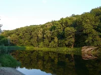 P1080687_hf.webp