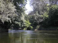 P6230602_hf.webp