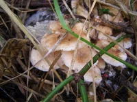 PA024244.webp