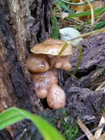 PA024248.webp