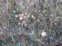 Copy of IMG_3103.webp