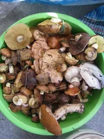 Copy of IMG_3117.webp