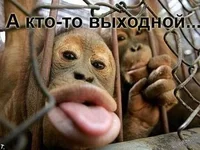 ponedelnik_25.webp