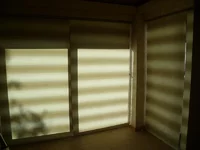 P1010381- для форума.JPG