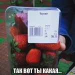 9edjjf.webp