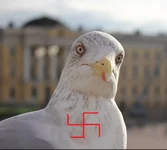 egh8bf.webp