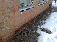 10022011782.webp