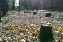 Фото2.jpg