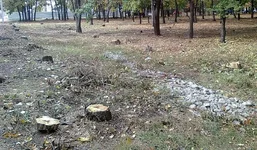 Фото1.jpg