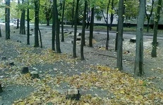 Фото3.jpg