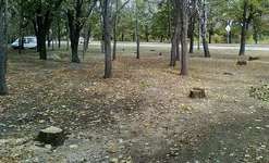 Фото5.jpg