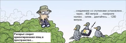 Birds-WM_strip_DK_20110205.webp