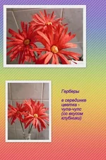 x_5498f429.webp