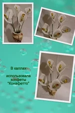 x_f0069268.webp