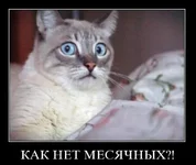 x_49706442.webp