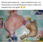 e3cbbh.webp