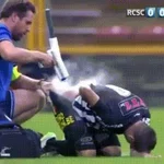 ebbc1b.jpg