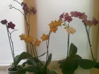 19052010142.webp