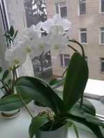 25122010195.webp