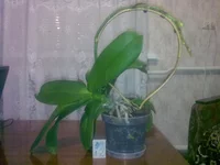 07102011247.webp