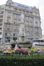 IMG_1585.webp