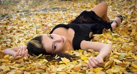 gt (7).webp
