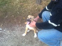 10102011594.webp