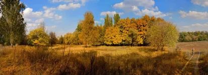resize2.jpg