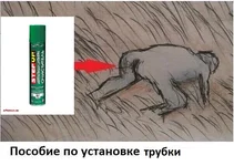 agf8aa.webp