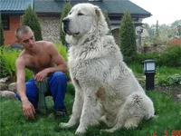 708ee7e3b7cc.webp