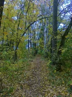 4_b.webp