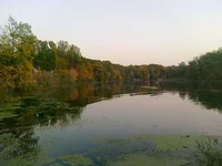 -023.webp