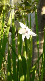 DSC09803.webp