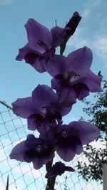 DSC09802.webp
