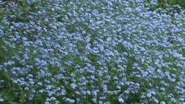 DSC08793.webp