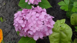 DSC09060.webp
