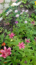DSC09062.webp