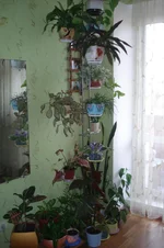 DSC00156_1.webp