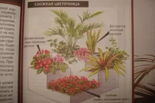 DSC00157_1.webp
