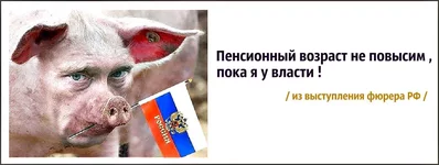 6jfbdj.webp